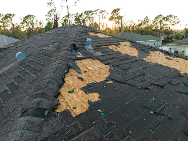 Best Metal Roofing Installation  in USA